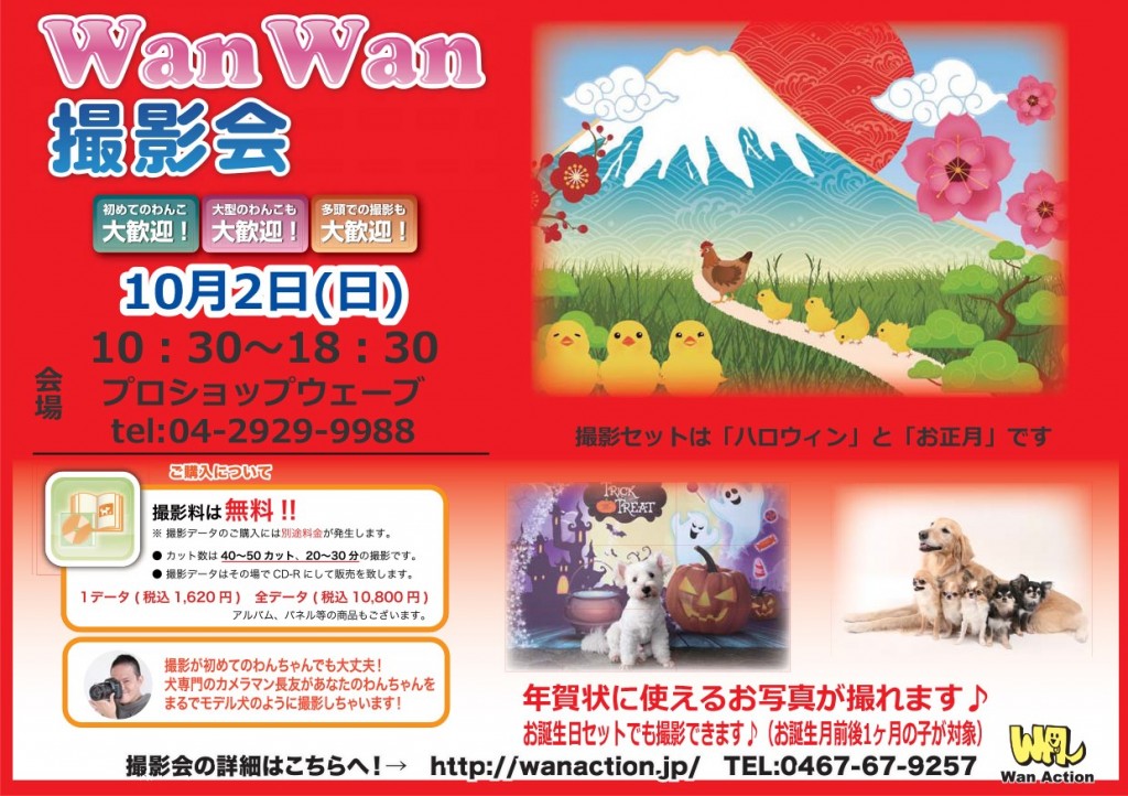 10-2%e3%80%80%e3%83%97%e3%83%ad%e3%82%b7%e3%83%a7%e3%83%83%e3%83%97%e3%82%a6%e3%82%a7%e3%83%bc%e3%83%96